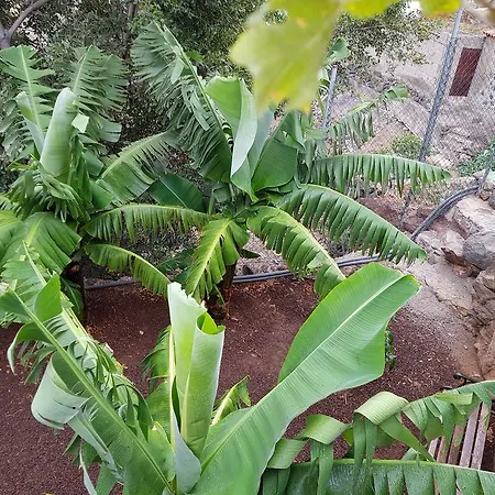 Casa Simon Higuera 8 בית כפרי